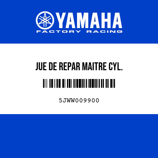 JUE DE REPAR MAITRE CYL.