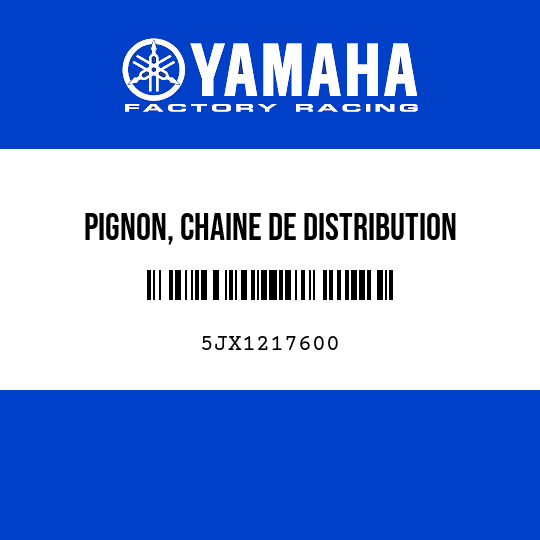 PIGNON, CHAINE DE DISTRIBUTION