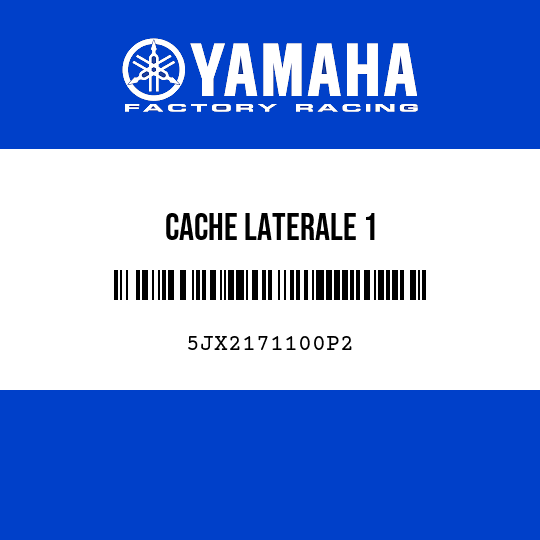 CACHE LATERALE 1