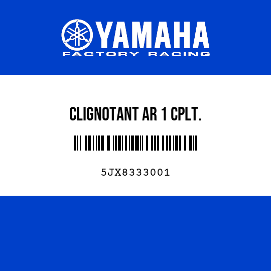 CLIGNOTANT AR 1 CPLT.
