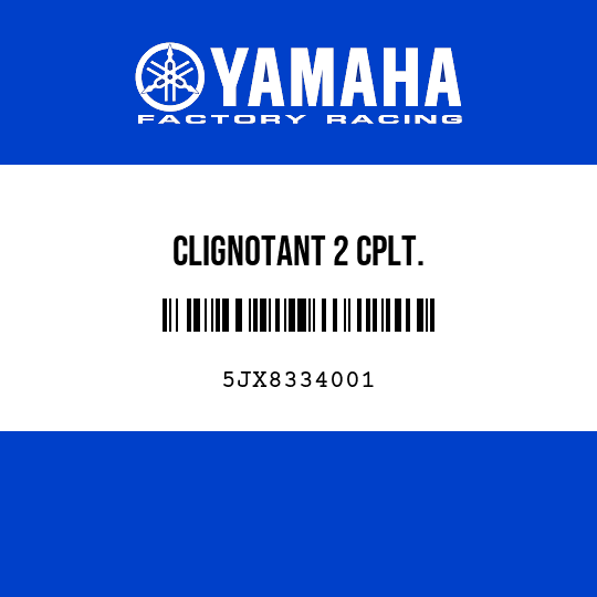 CLIGNOTANT 2 CPLT.