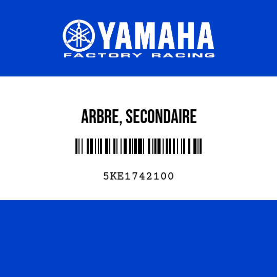 ARBRE, SECONDAIRE