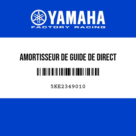 AMORTISSEUR DE GUIDE DE DIRECT