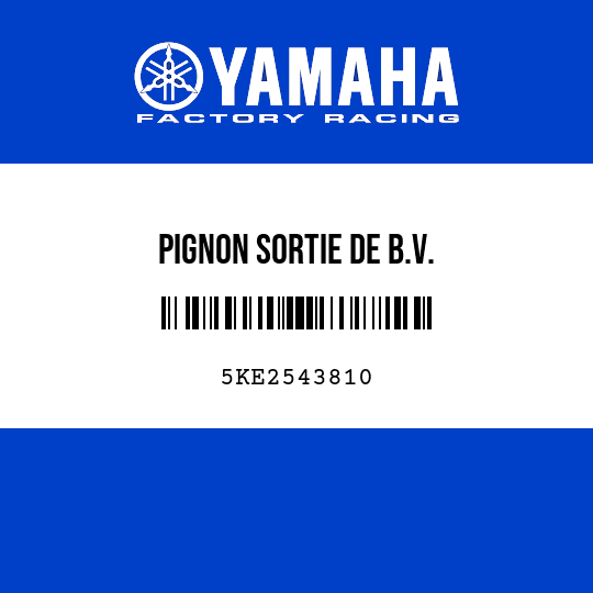 PIGNON SORTIE DE B.V.