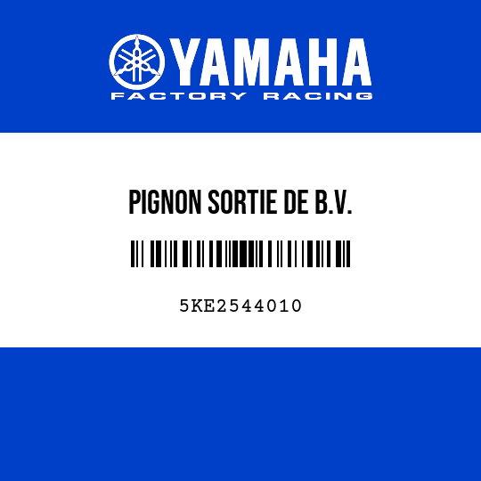PIGNON SORTIE DE B.V.