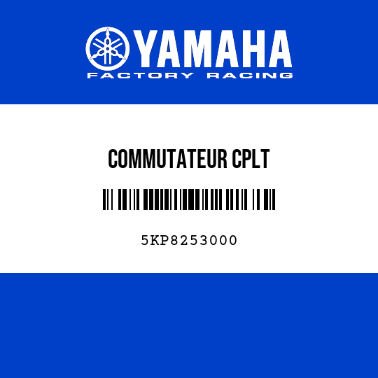 COMMUTATEUR CPLT