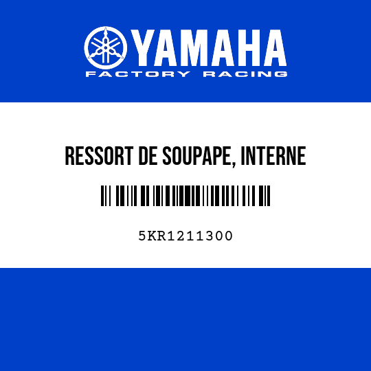 RESSORT DE SOUPAPE, INTERNE