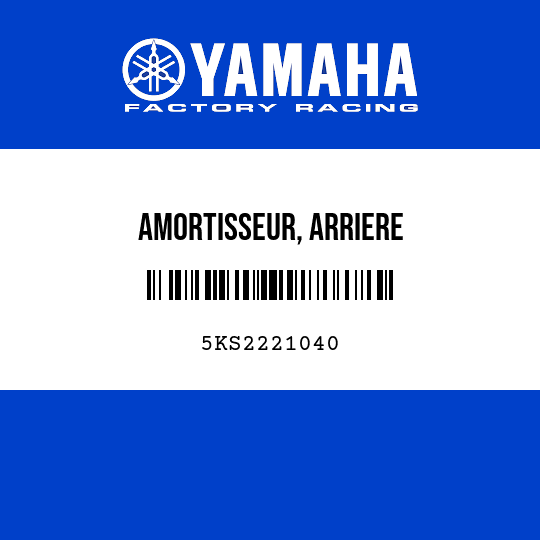 AMORTISSEUR, ARRIERE
