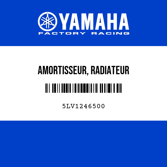AMORTISSEUR, RADIATEUR