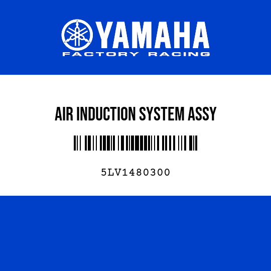 AIR INDUCTION SYSTEM ASSY