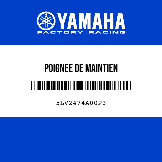 POIGNEE DE MAINTIEN