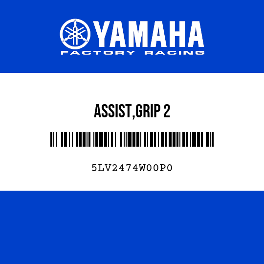 ASSIST,GRIP 2