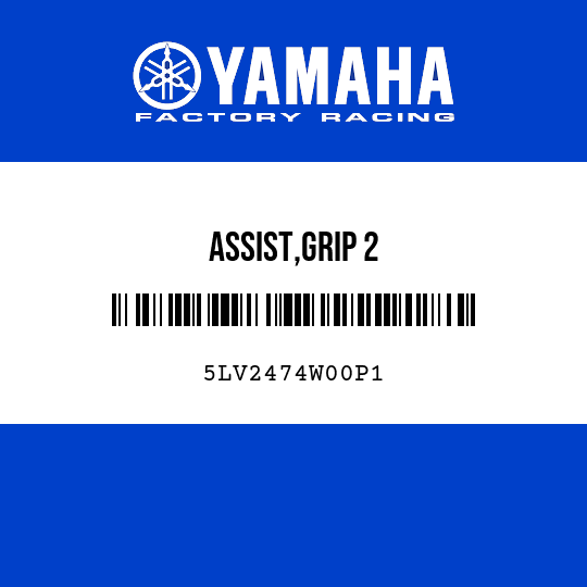 ASSIST,GRIP 2