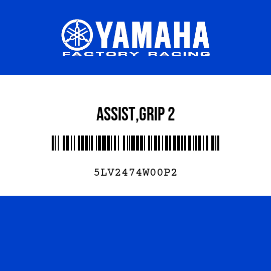 ASSIST,GRIP 2