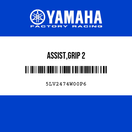 ASSIST,GRIP 2