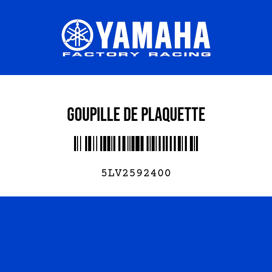 GOUPILLE DE PLAQUETTE