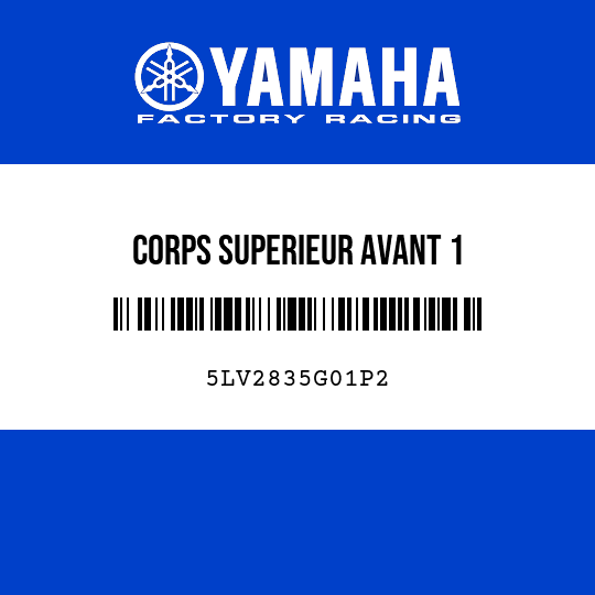 CORPS SUPERIEUR AVANT 1