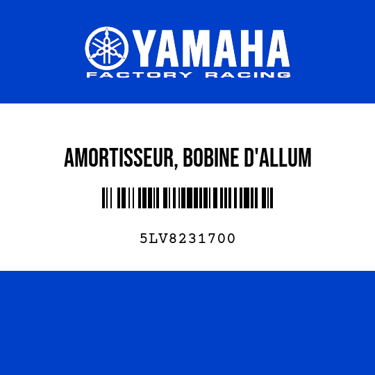 AMORTISSEUR, BOBINE D'ALLUM