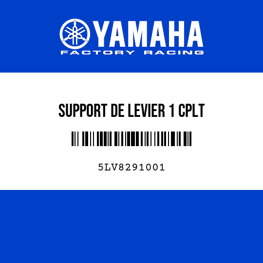 SUPPORT DE LEVIER 1 CPLT
