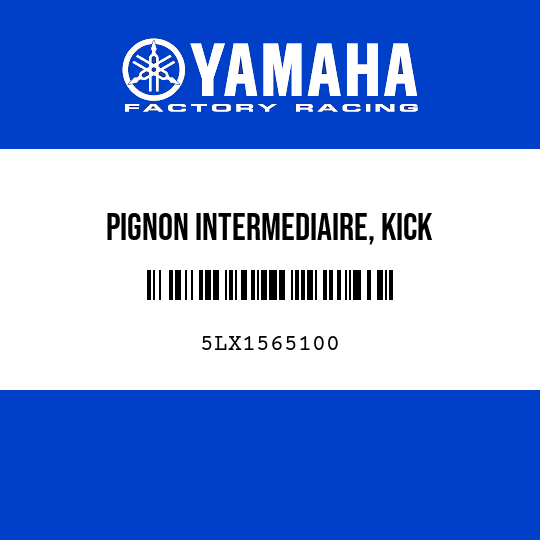 PIGNON INTERMEDIAIRE, KICK