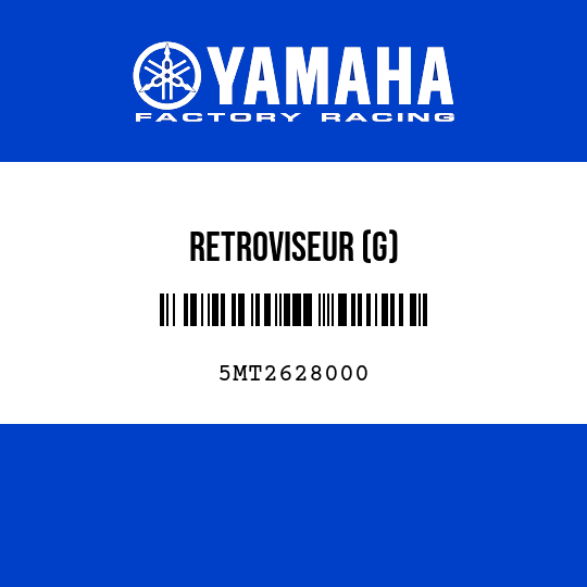 RETROVISEUR (G)