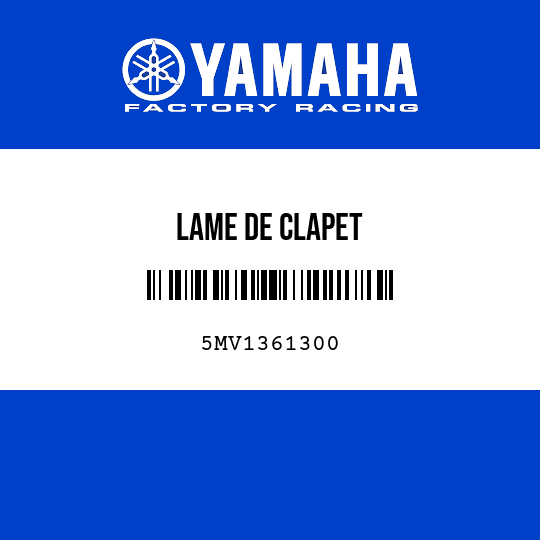 LAME DE CLAPET