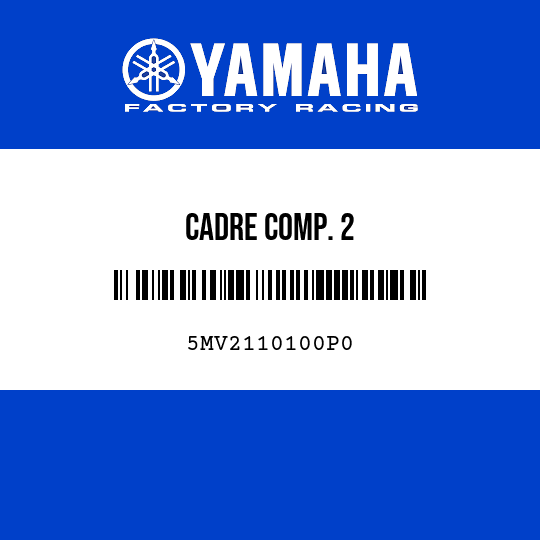 CADRE COMP. 2