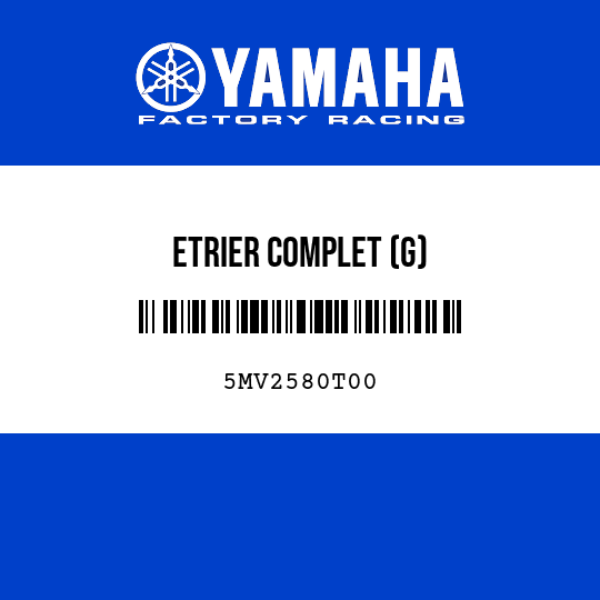 ETRIER COMPLET (G)