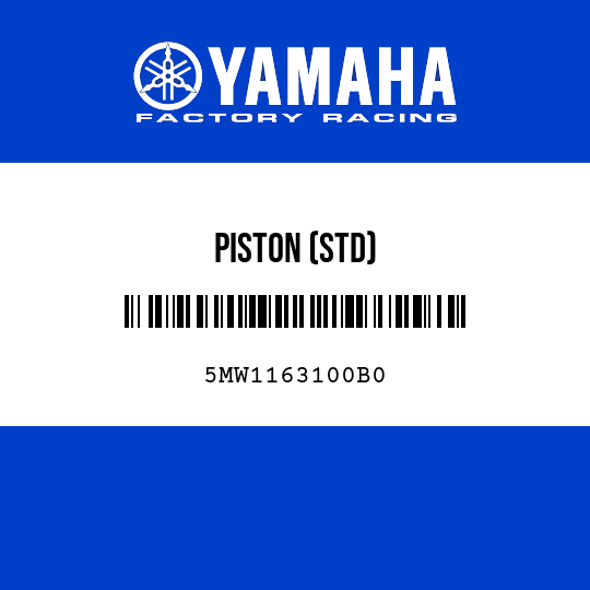 PISTON (STD)