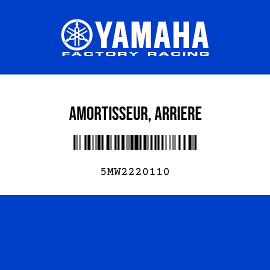 AMORTISSEUR, ARRIERE