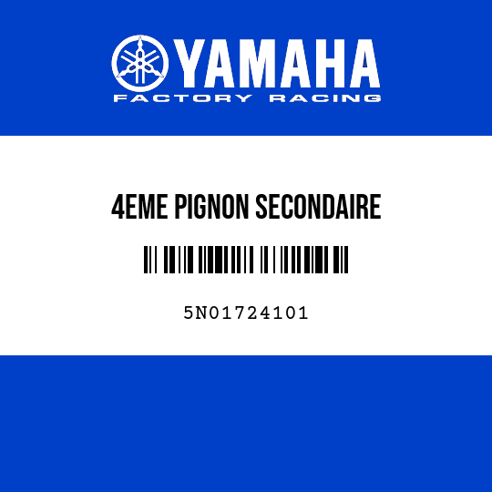 4EME PIGNON SECONDAIRE
