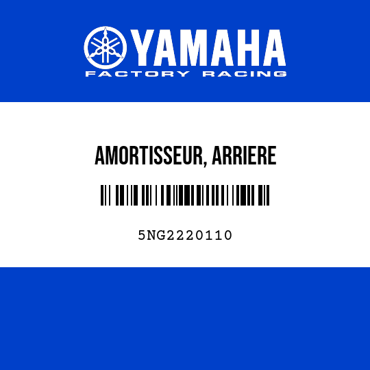 AMORTISSEUR, ARRIERE