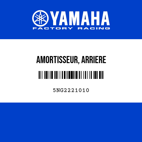 AMORTISSEUR, ARRIERE