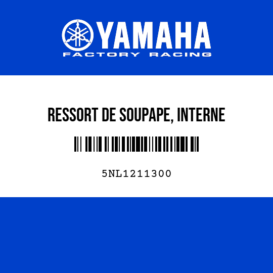 RESSORT DE SOUPAPE, INTERNE