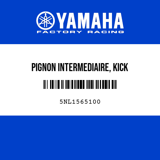 PIGNON INTERMEDIAIRE, KICK