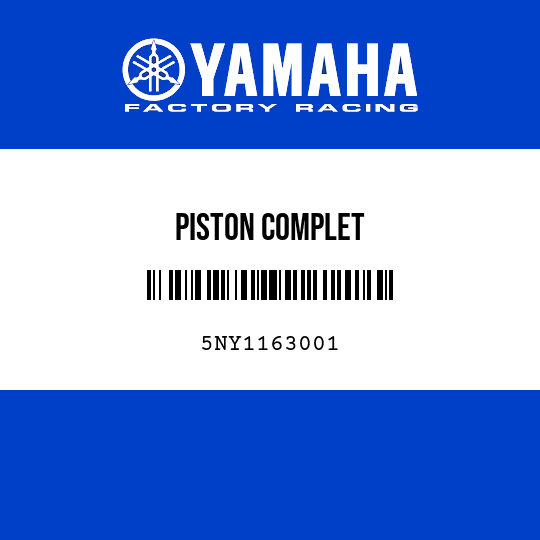 PISTON COMPLET