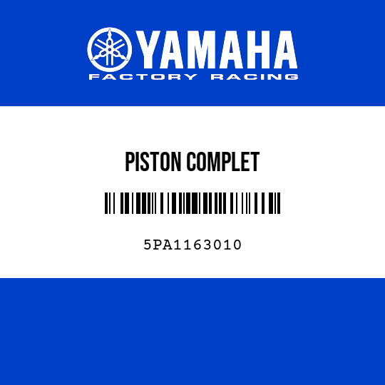 PISTON COMPLET