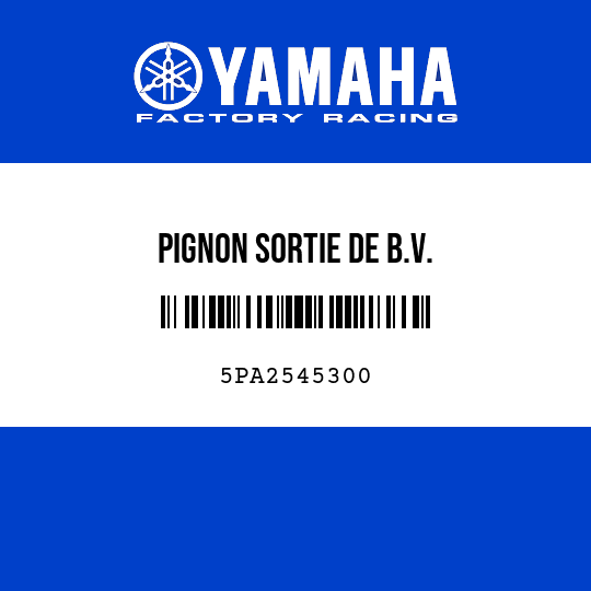PIGNON SORTIE DE B.V.