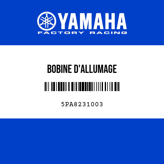 BOBINE D'ALLUMAGE