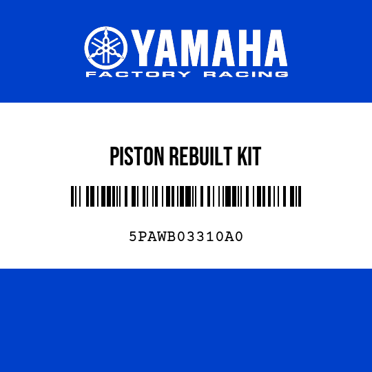 PISTON REBUILT KIT