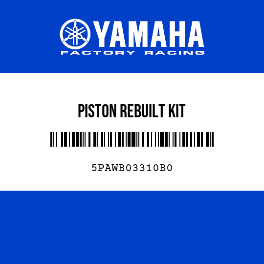 PISTON REBUILT KIT