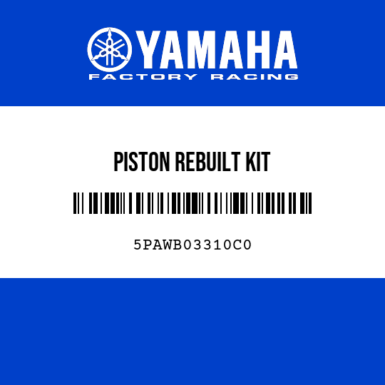 PISTON REBUILT KIT