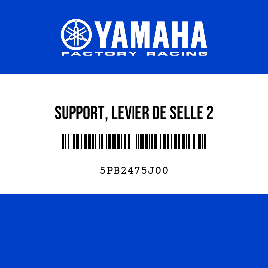 SUPPORT, LEVIER DE SELLE 2