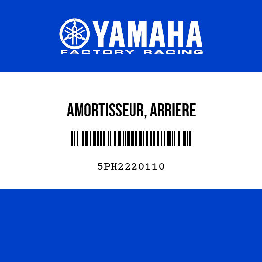 AMORTISSEUR, ARRIERE