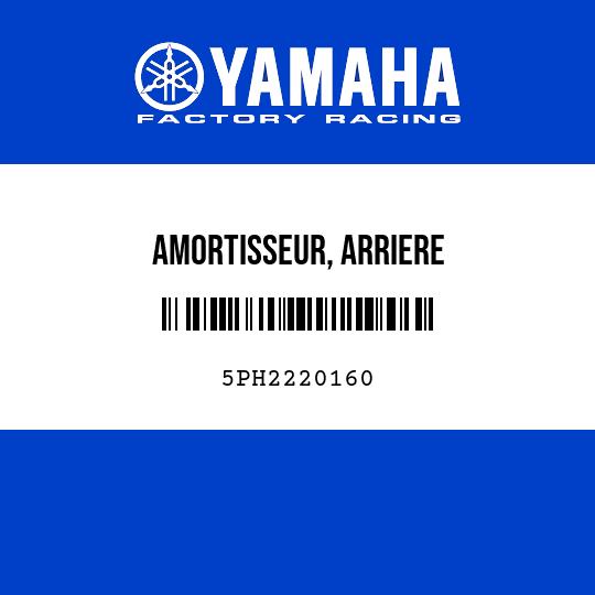 AMORTISSEUR, ARRIERE