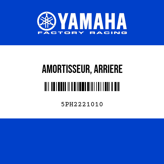AMORTISSEUR, ARRIERE