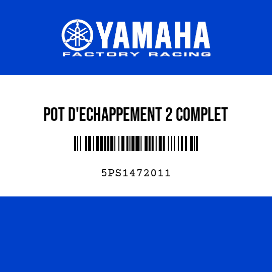 POT D'ECHAPPEMENT 2 COMPLET
