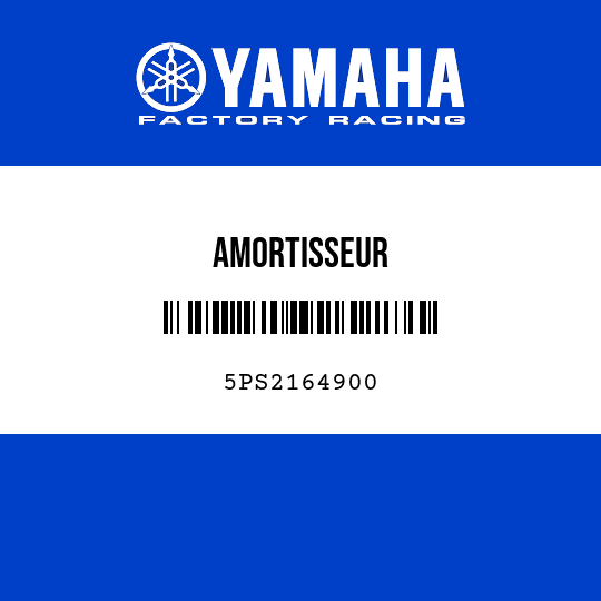 AMORTISSEUR