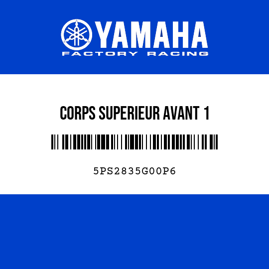 CORPS SUPERIEUR AVANT 1
