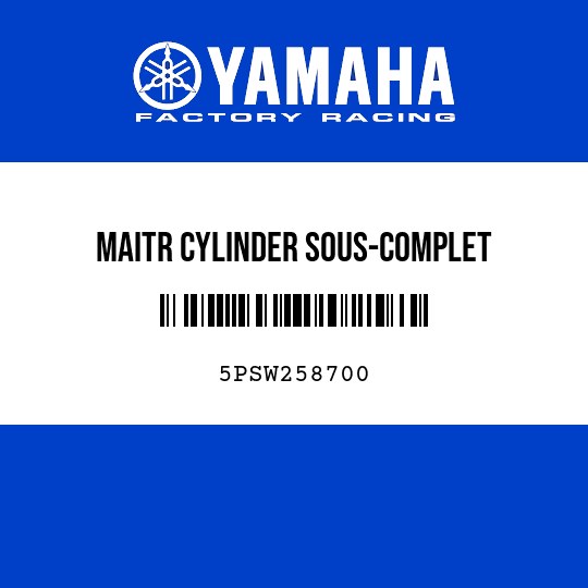MAITR CYLINDER SOUS-COMPLET
